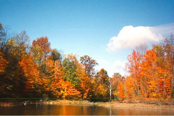 Alum Creek State Park