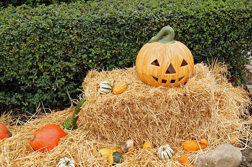 Halloween