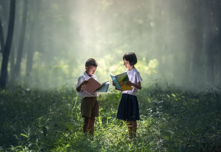 Summer Reading Club 2026
